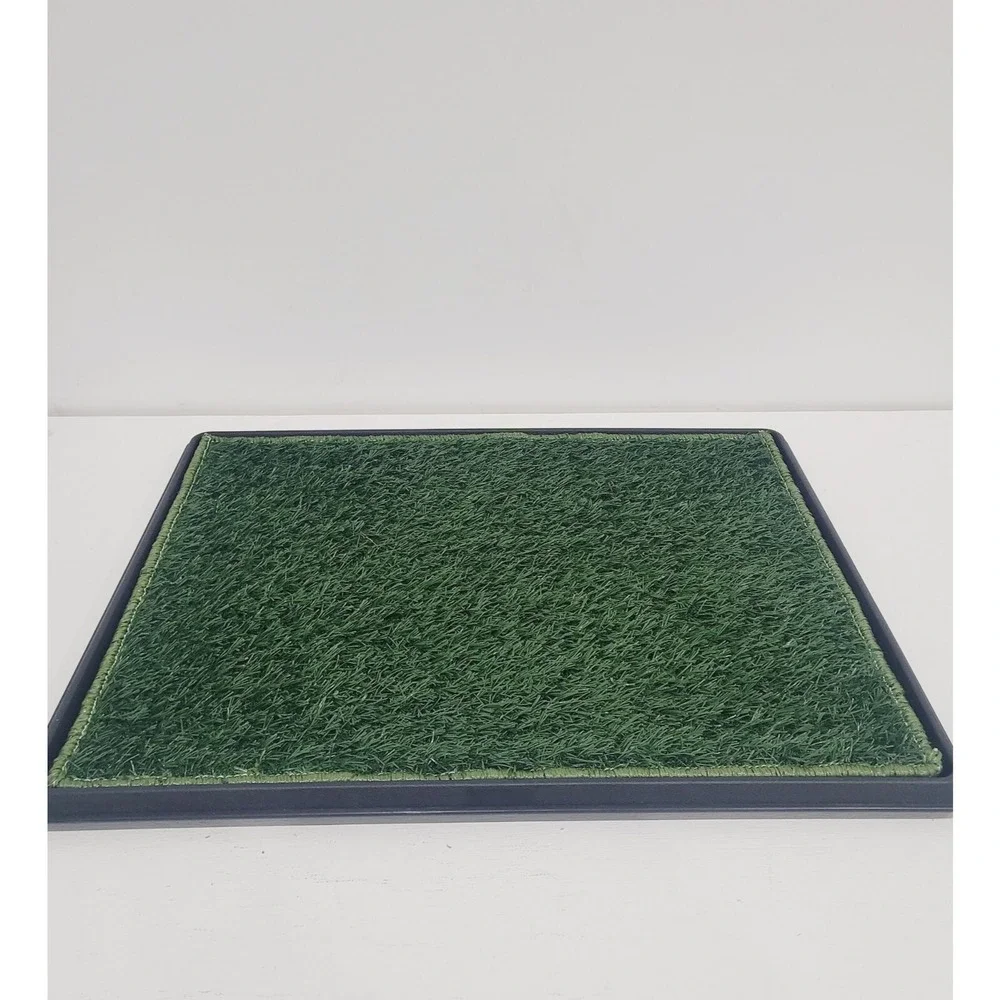 25x20